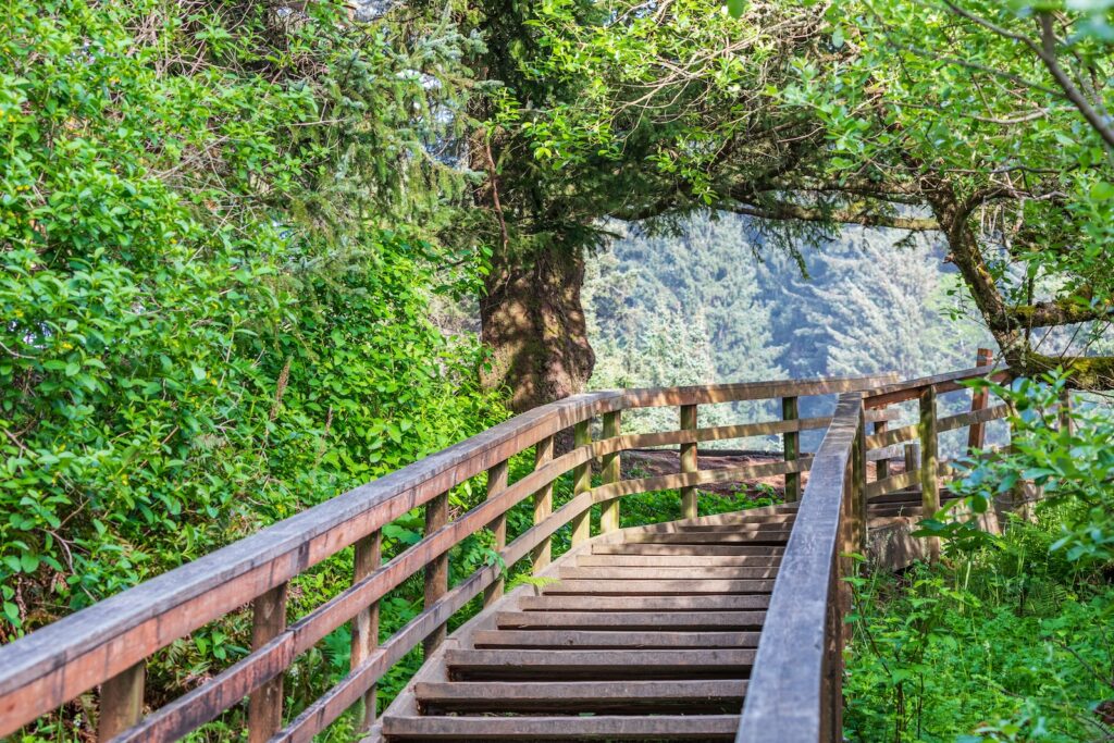 Sunny day at Ecola State Park with shady wooden pathways leading out to the Oregon Coast
