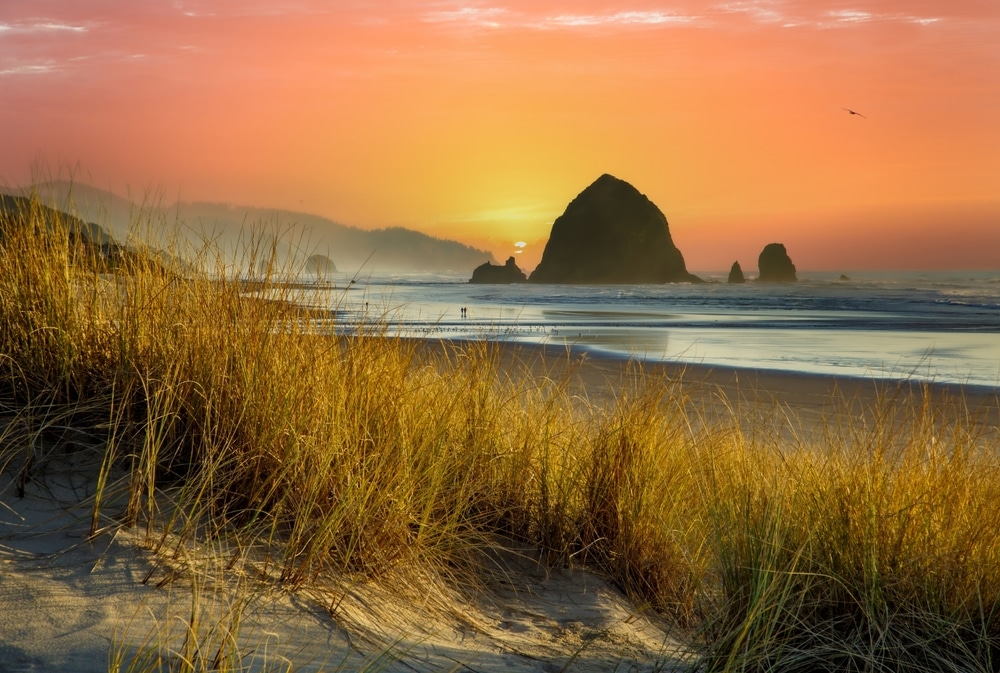Haystack Rock rises from the ocean at Cannon Beach, Oregon, during a vibrant, golden sunset.
