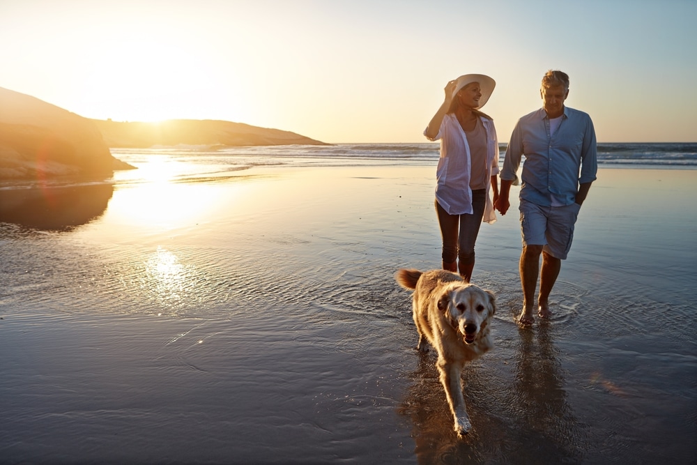 A couple walks hand-in-hand with their golden retriever along a beach at sunset.