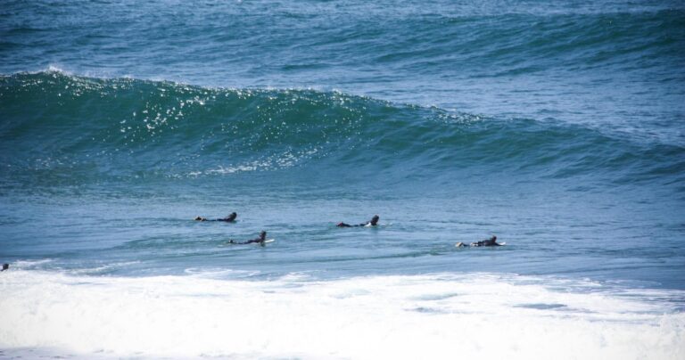 Four surfers sit on their boards in the ocean, waiting for a wave to arrive.