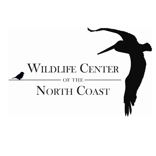 Logo for "Wildlife Center of the North Coast" featuring a small bird, a horizontal line, and a large flying pelican.